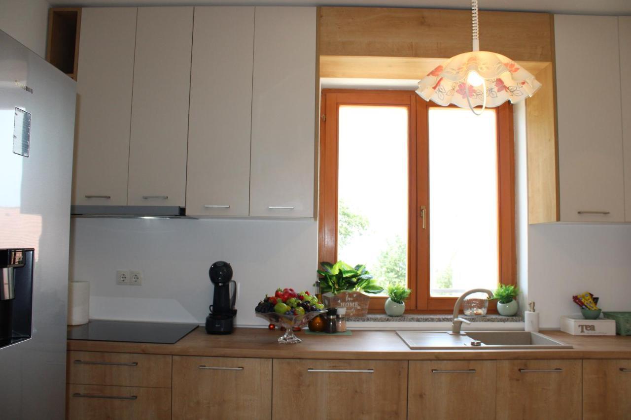 Apartment Noel Sveti Vid-Miholjice Extérieur photo