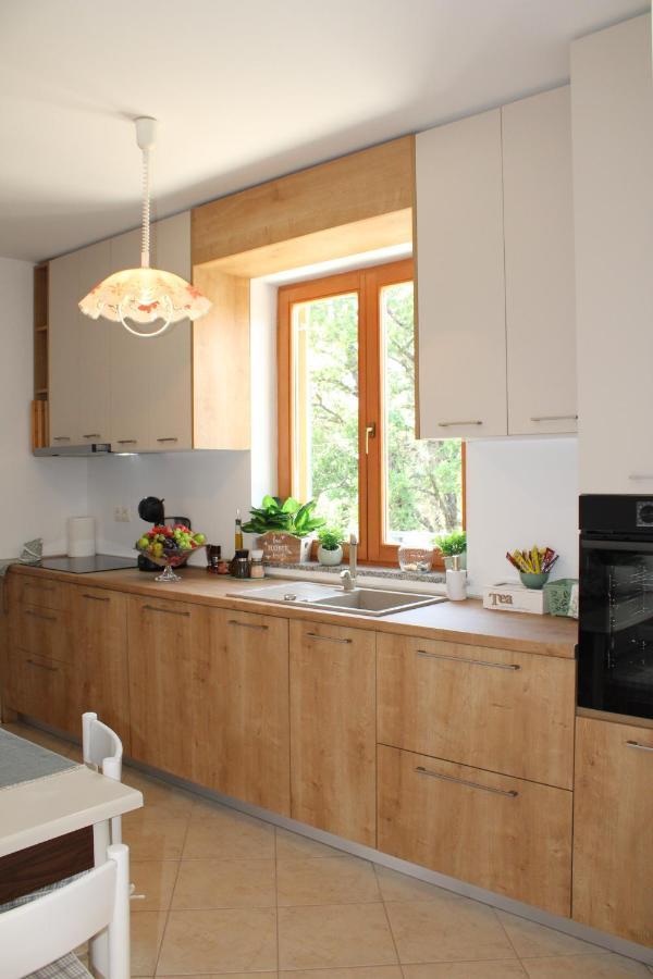 Apartment Noel Sveti Vid-Miholjice Extérieur photo